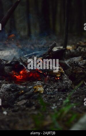 Glühende Kohlen leuchtend rote Farbe. Rauch über den Kohlen. Heiße Kohlen brennen mit Holz. Der glühende Kohlen in den Wald. Stockfoto