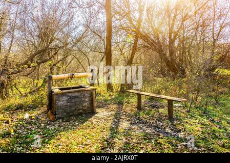 Alte hölzerne gut zeichnen und Sitzbank im Herbst Wald Stockfoto