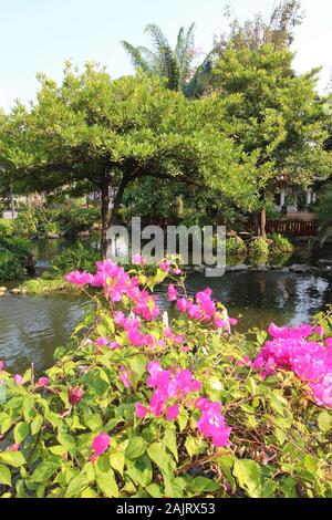 Der tropische Garten des Erawan Museum in Bangkok, Thailand Stockfoto