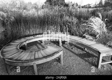 Gebogener Gartensitz aus Holz, umgeben von toten Blumen und Pflanzen an einem frostigen Dezembermorgen, Harrogate, North Yorkshire, England, Großbritannien. Stockfoto