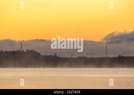Gänse fliegen über misty Loch bei Sonnenaufgang, mit Windkraftanlagen und der Durchführung von Pylonen im Hintergrund. Stockfoto