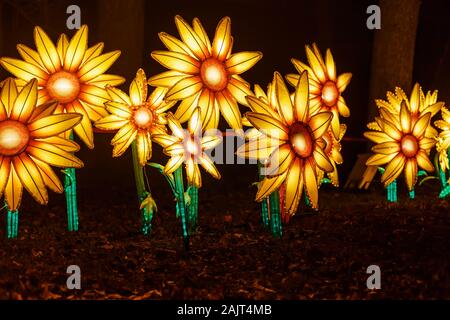 Riesige Laternen von China in der Nacht Stockfoto