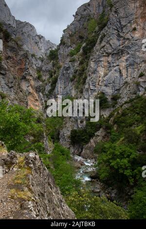 Rio Cares Gorge, Picos de Europa National Park, Spanien Stockfoto