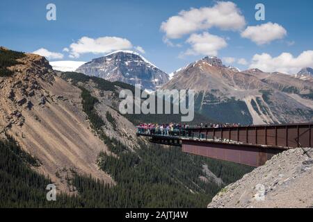 Touristen am Gletscher Skywalk im Sommer in den Jasper National Park, der Kanadischen Rockies, Alberta, Kanada. Stockfoto