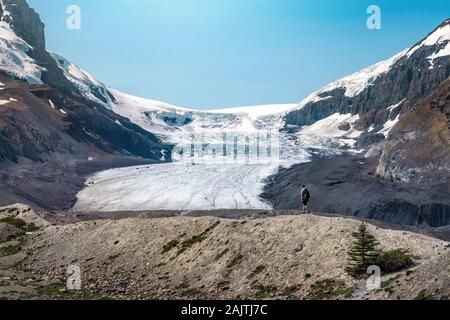 Athabasca Gletscher im Sommer in den Jasper National Park, der Kanadischen Rockies, Alberta, Kanada. Stockfoto