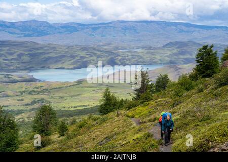 Wanderer auf dem berühmten W Trek im Torres del Paine Nationalpark in Patagonien, Chile, Südamerika. Stockfoto