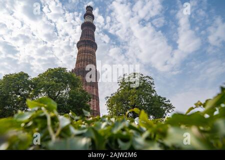 Qutb Minar Minarett Säule durch Bäume vor blauem Himmel in Neu Delhi Indien gerahmt Stockfoto