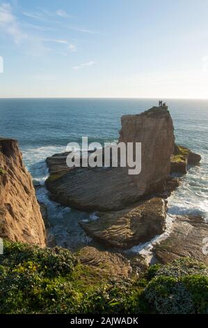 Grüne Küste in den Frühling an der Küste Molkereien State Park, in der Nähe von Santa Cruz, Kalifornien, USA Stockfoto