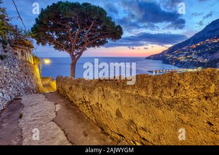 Kleine Gasse mit Pinienbaum in Amalfi, Italien, bei Sonnenuntergang Stockfoto