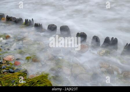 Dranske, Deutschland. 30 Dez, 2019. Wellen der Ostsee zwischen Buhnen an der Küste der Insel Rügen. Foto: Patrick Pleul/dpa-Zentralbild/ZB/dpa/Alamy leben Nachrichten Stockfoto