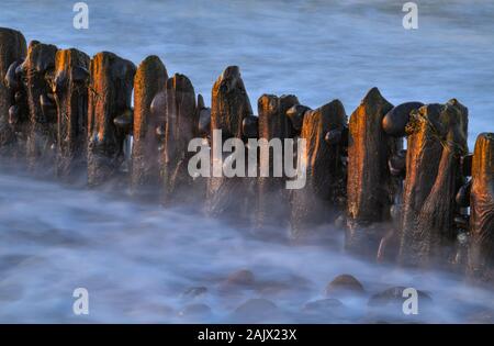 Dranske, Deutschland. 30 Dez, 2019. Wellen der Ostsee zwischen Buhnen an der Küste der Insel Rügen. Foto: Patrick Pleul/dpa-Zentralbild/ZB/dpa/Alamy leben Nachrichten Stockfoto