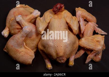 Broiler chicken und sein Fleisch auf schwarzem Hintergrund Stockfoto