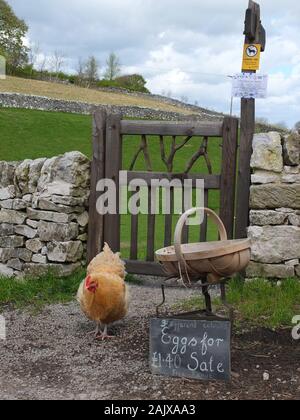 Ehrlichkeit Stall oder Ehrlichkeit Kasten am Straßenrand in einem Derbyshire Peak District Dorf verkaufen frische Eier aus Freilandhaltung mit einem Huhn daneben Stockfoto