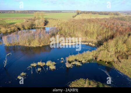 Hellmoor, Feuchtgebiet, Lämmerhof, Panten, Kreis Herzogtum Lauenburg, Schleswig-Holstein, Deutschland Stockfoto