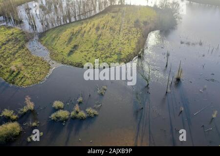 Hellmoor, Feuchtgebiet, Lämmerhof, Panten, Kreis Herzogtum Lauenburg, Schleswig-Holstein, Deutschland Stockfoto