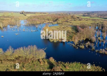 Hellmoor, Feuchtgebiet, Lämmerhof, Panten, Kreis Herzogtum Lauenburg, Schleswig-Holstein, Deutschland Stockfoto