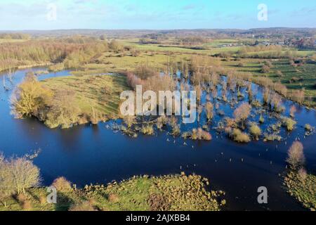 Hellmoor, Feuchtgebiet, Lämmerhof, Panten, Kreis Herzogtum Lauenburg, Schleswig-Holstein, Deutschland Stockfoto