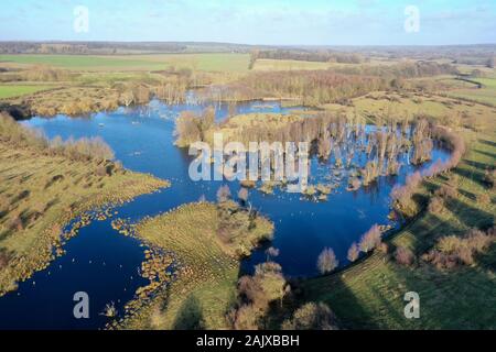 Hellmoor, Feuchtgebiet, Lämmerhof, Panten, Kreis Herzogtum Lauenburg, Schleswig-Holstein, Deutschland Stockfoto