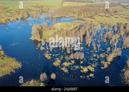 Hellmoor, Feuchtgebiet, Lämmerhof, Panten, Kreis Herzogtum Lauenburg, Schleswig-Holstein, Deutschland Stockfoto