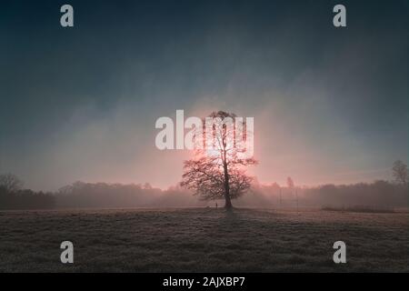 Misty Morning in Lloyds Park Croydon Spätherbst Stockfoto