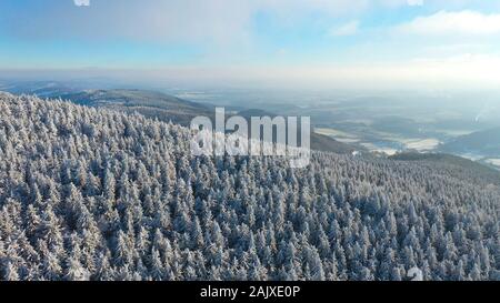 Luftbild des weißen Fichten frisch verschneite an sonnigen Wintertag im Berg, Liberec, Tschechische Republik Stockfoto