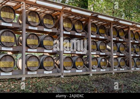 Tokio, Japan - Februar 7, 2019: Traditionelle sake Fässer im Stroh von Meiji Schrein gewickelt. Stockfoto