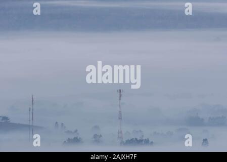 Telefon Masten und Bäume im Morgennebel. Stockfoto