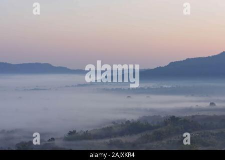 Morgennebel von Bäumen in Khao Takhian Ngo Phetchabun in Thailand. Stockfoto