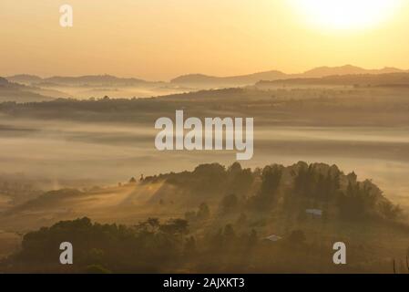 Morgennebel von Bäumen in Khao Takhian Ngo Phetchabun in Thailand. Stockfoto