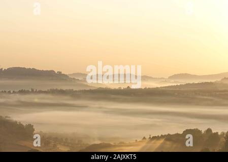 Morgennebel von Bäumen in Khao Takhian Ngo Phetchabun in Thailand. Stockfoto