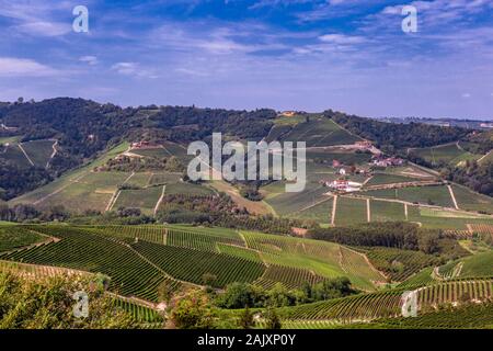 Weinberge in der Region Piemont in Norditalien Stockfoto