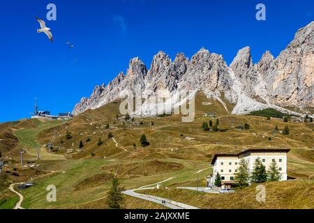 Grödner Joch, Trentino Alto Adige, Italien. Grödner Joch mit Langkofel im Hintergrund. Passo Gardena, alpenpass zwischen Val Badia und Va Stockfoto