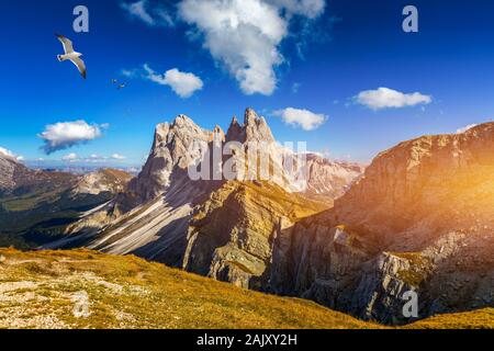 Blick auf die Seceda mit Vögel fliegen über die Gipfel. Trentino Südtirol, Dolomiten, Alpen, Südtirol, Italien. Gröden. Majestic Furchetta Peak. Odles Stockfoto