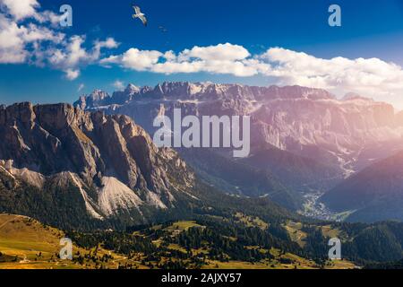 Blick auf die Seceda mit Vögel fliegen über die Gipfel. Trentino Südtirol, Dolomiten, Alpen, Südtirol, Italien. Gröden. Majestic Furchetta Peak. Odles Stockfoto