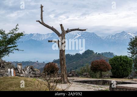 Blick auf den Himalaya von kangra Fort, Kangra, Himachal Pradesh, Indien Stockfoto