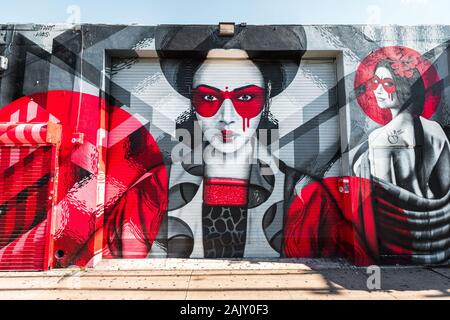 Erkunden Sie kunstvolle Graffitis im Hipperviertel Wynwood in Miami mit seinen Wynwood-Wänden (Miami, Florida, USA) Stockfoto