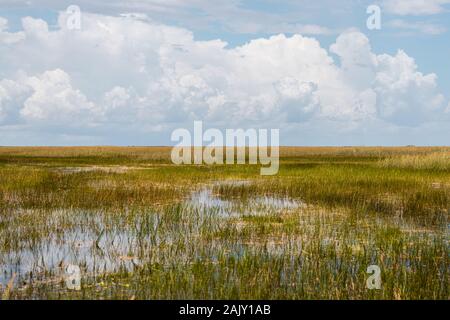 Erkundung des Everglades National Park durch eine kultige Flugsotour mit malerischen Reflexionen (Everglades, Miami, Florida, USA) Stockfoto