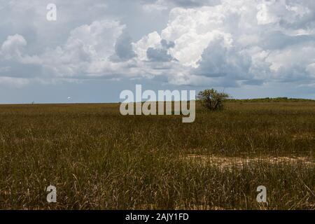 Erkundung des Everglades National Park durch eine kultige Flugsotour mit malerischen Reflexionen (Everglades, Miami, Florida, USA) Stockfoto