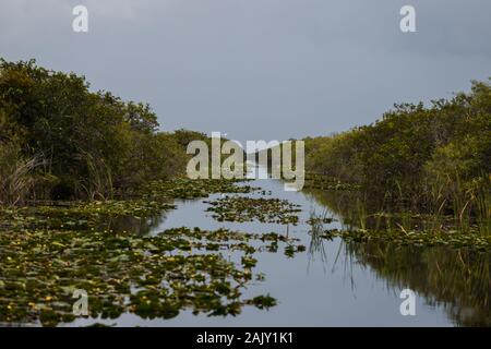 Erkundung des Everglades National Park durch eine kultige Flugsotour mit malerischen Reflexionen (Everglades, Miami, Florida, USA) Stockfoto