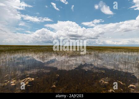 Erkundung des Everglades National Park durch eine kultige Flugsotour mit malerischen Reflexionen (Everglades, Miami, Florida, USA) Stockfoto