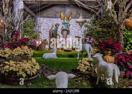 In der Nähe der Krippe in Santa Cruz, Madeira, Portugal Stockfoto