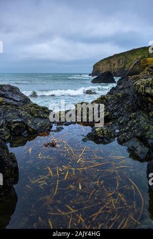 Aberfelin Bay, LLanrhian, Pembrokeshire. Wales Stockfoto