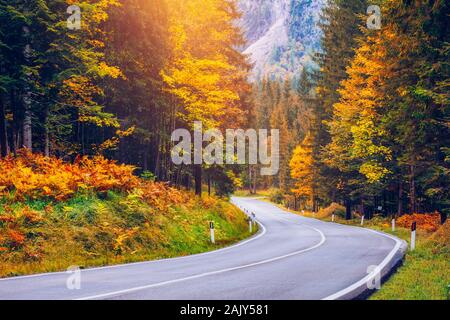 Blick auf kurvenreichen Straße. Asphaltierte Straßen in den italienischen Alpen in Südtirol, im Herbst Saison. Herbst Szene mit gekrümmten Straßen- und gelbe Lärchen aus Bo Stockfoto