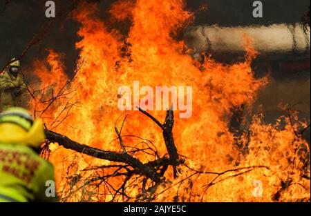 (200106) - Brisbane, Januar 6, 2020 (Xinhua) - Foto an November 11, 2019 zeigt die Buschfeuer in Taree in New South Wales, Australien. Die australische Regierung hat den nationalen Bushfire Recovery Agentur, die mit einer ersten zwei Milliarden australischen Dollar (1,38 Milliarden US-Dollar) am Montag finanziert würde. (Xinhua / Bai Xuefei) Stockfoto