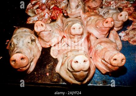 Schwein Köpfe auf dem Markt von Siem Reap verkauft Stockfoto