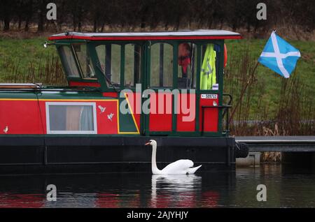 Ein Schwan übergibt einen Kanal Boot auf der Forth-and-Clyde-Kanal im Helix Park die Heimat der Aufbau Digital in Falkirk. Stockfoto