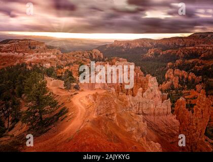 Die ersten Sonnenstrahlen schlagen die Hoodoos im Bryce Canyon, Utah Stockfoto