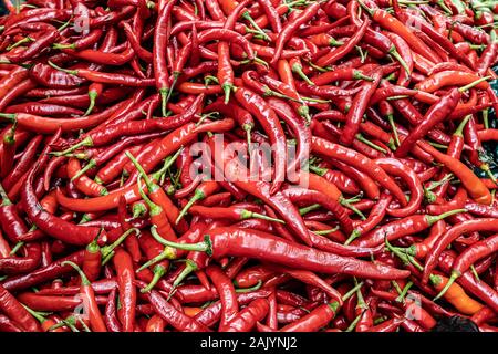 Red Chili Hintergrund. Indien Zutat für Verkauf im Markt Stockfoto