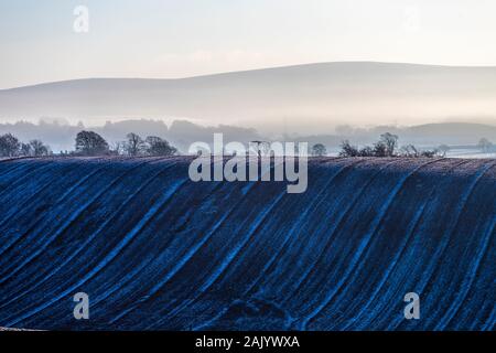 Eines gepflügten Feldes an einem frostigen Morgen bei Irthington, Cumbria GROSSBRITANNIEN Stockfoto