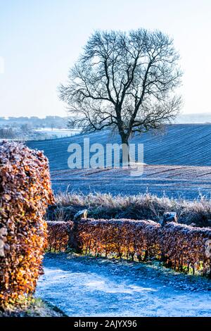 Eines gepflügten Feldes an einem frostigen Morgen bei Irthington, Cumbria GROSSBRITANNIEN Stockfoto